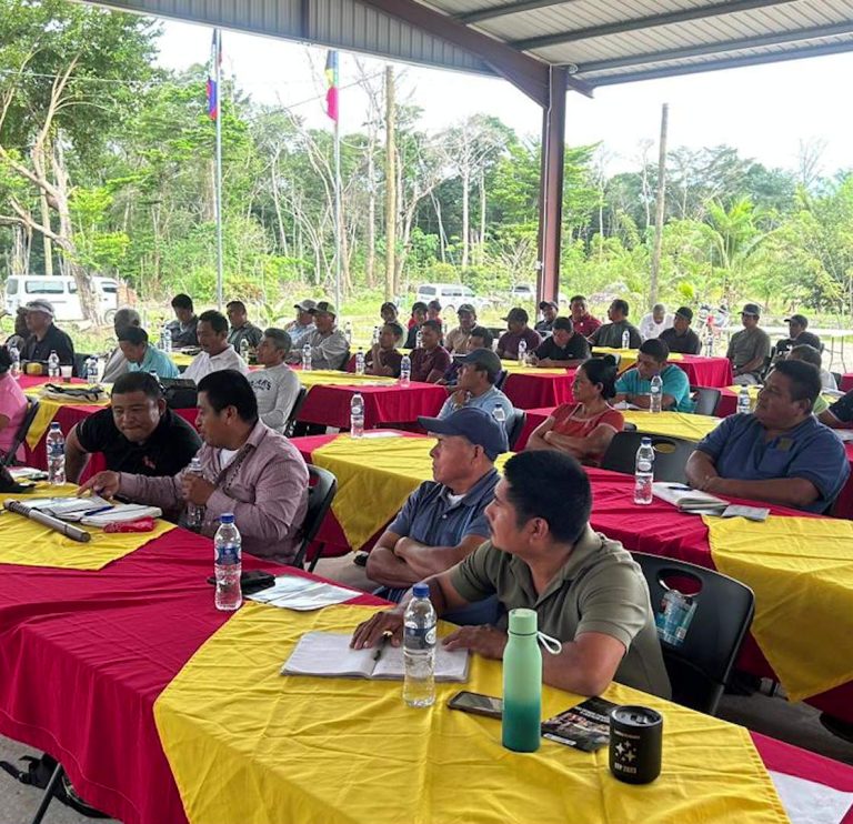 Julian Cho Society Celebrates US$40 Million Climate Financing