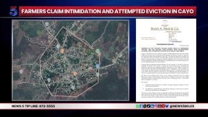 Farmers in Cayo Report Gunfire and Intimidation in Land Dispute