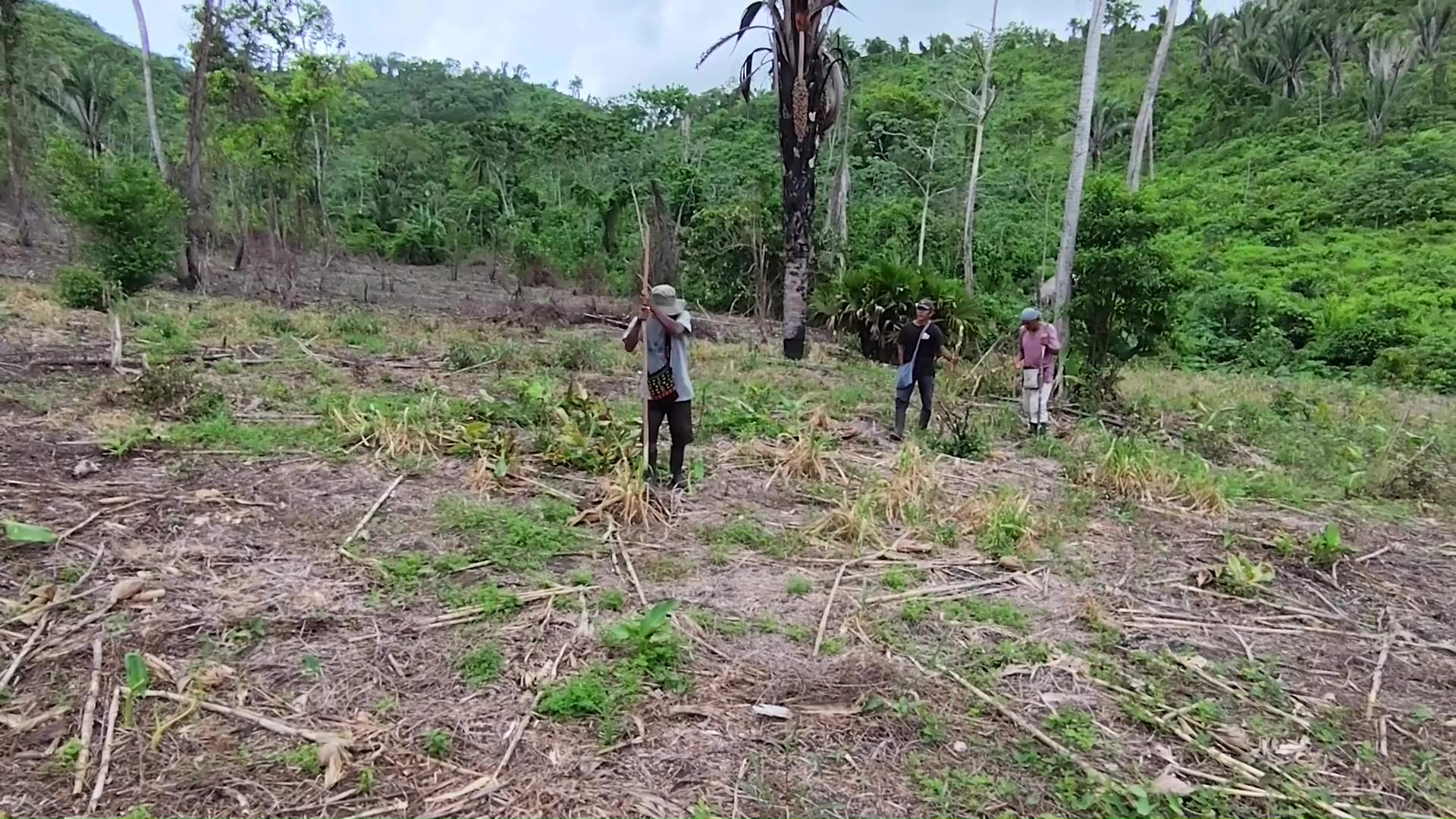 Belize Among Most Aggressive In Pursuit of Climate Funds