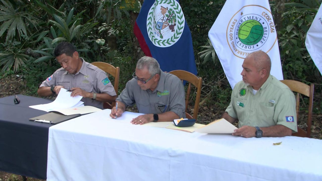 Ten‑Year Deal Boosts Chiquibul Conservation Efforts
