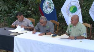 Ten‑Year Deal Boosts Chiquibul Conservation Efforts
