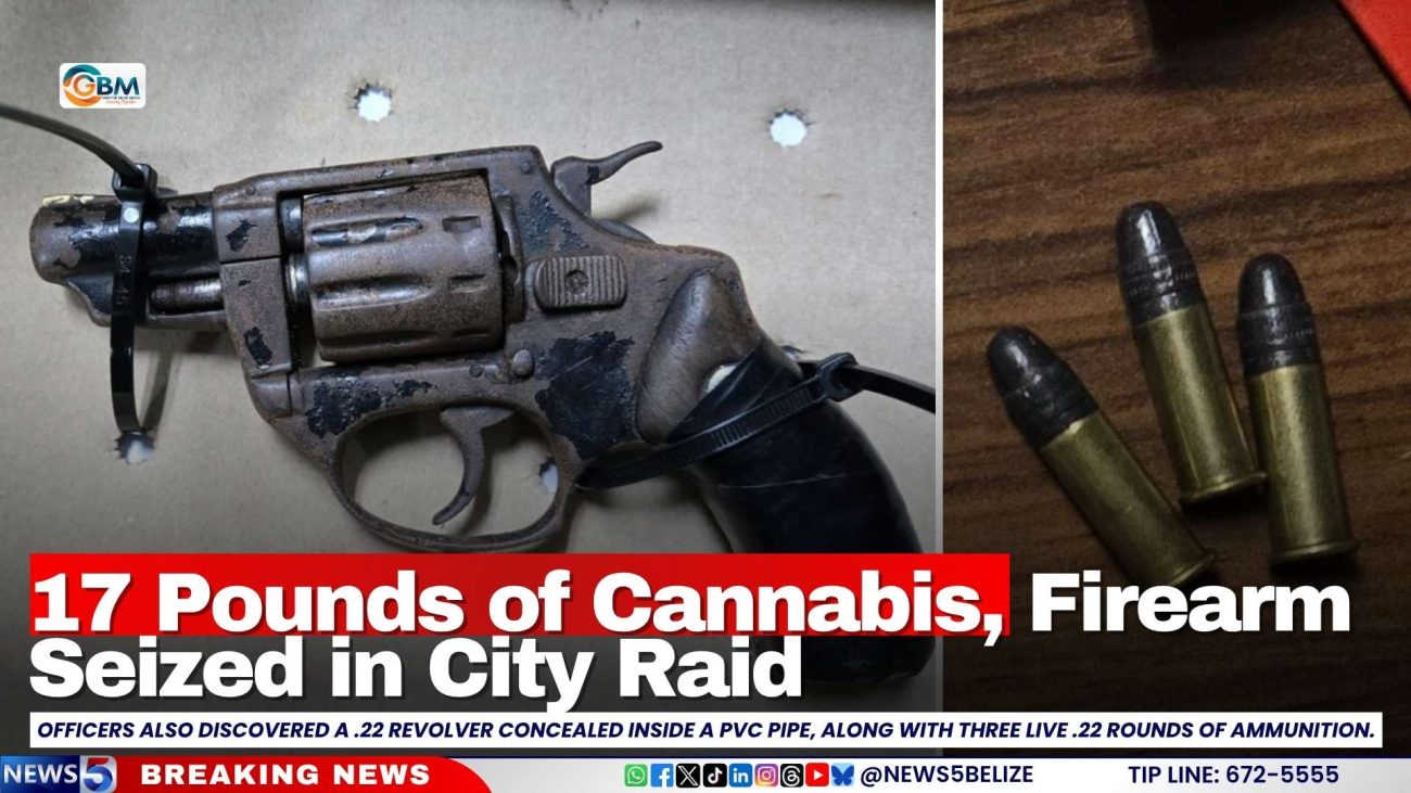 17 Pounds of Cannabis, Firearm Seized in City Raid