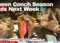 Queen Conch Season Ends Next Week
