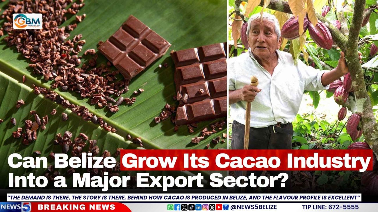Can Belize Grow Its Cacao Industry Into a Major Export Sector?