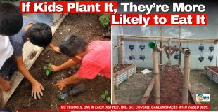 If Kids Plant It, They’re More Likely to Eat It