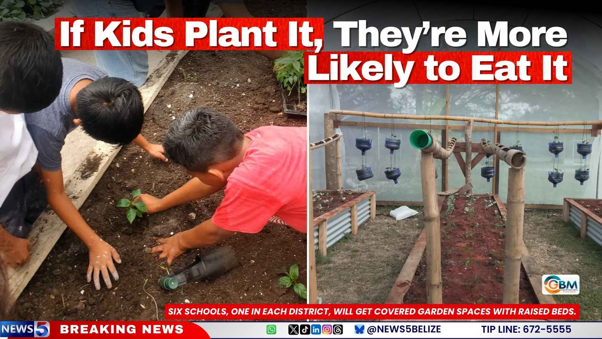 If Kids Plant It, They’re More Likely to Eat It