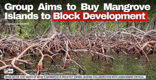 Group Aims to Buy Mangrove Islands to Block Development