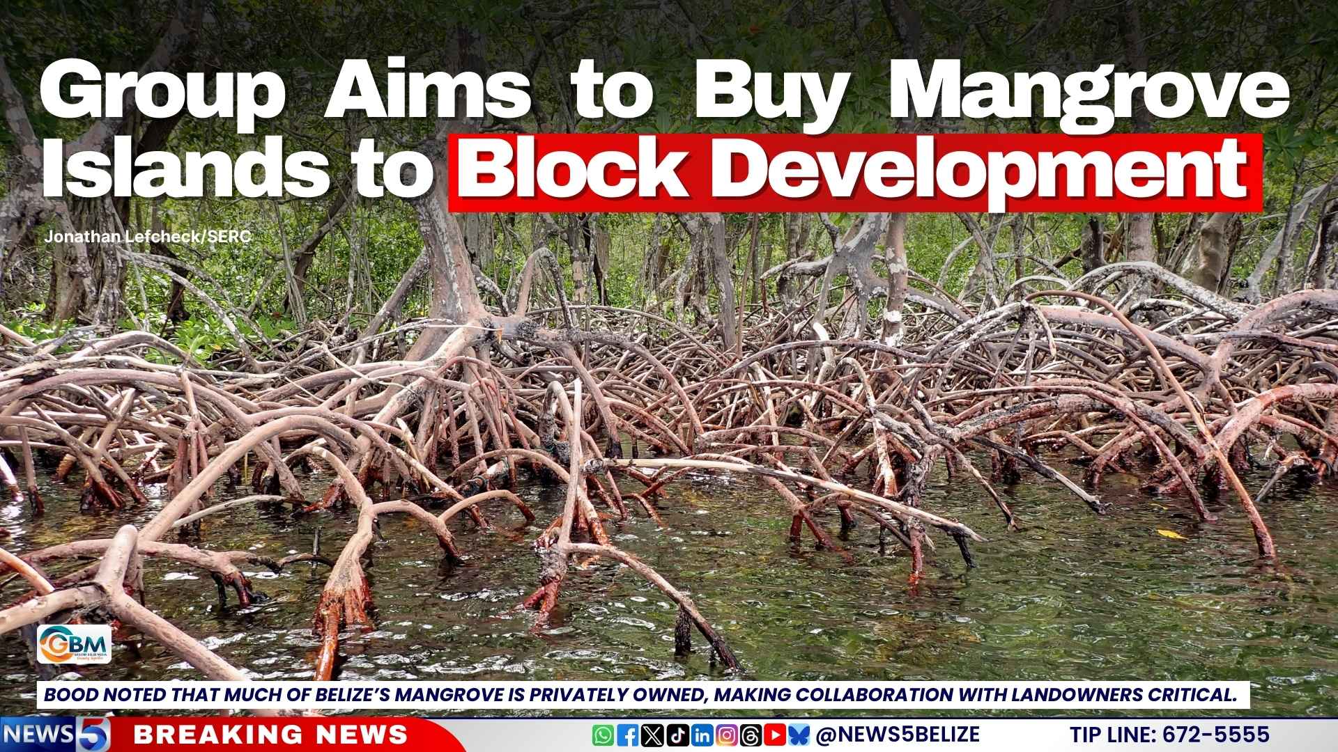 Group Aims to Buy Mangrove Islands to Block Development