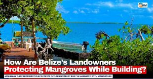 How Are Belize’s Landowners Protecting Mangroves While Building?
