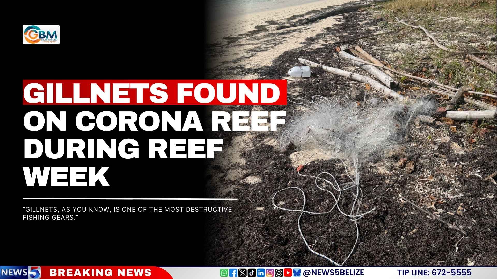 Gillnets Found on Corona Reef During Reef Week