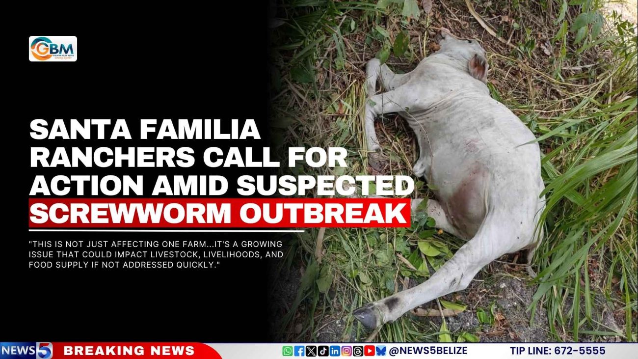 Santa Familia Ranchers Call for Action Amid Suspected Screwworm Outbreak