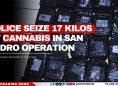 Police Seize 17 Kilos of Cannabis in San Pedro Operation