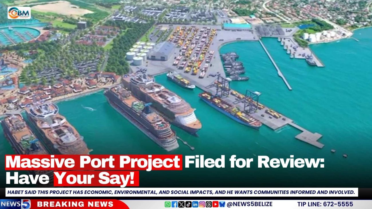Massive Port Project Filed for Review: Have Your Say!