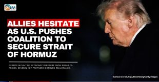 Allies Hesitate as U.S. Pushes Coalition to Secure Strait of Hormuz