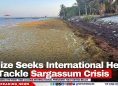 Belize Seeks International Help to Tackle Sargassum Crisis