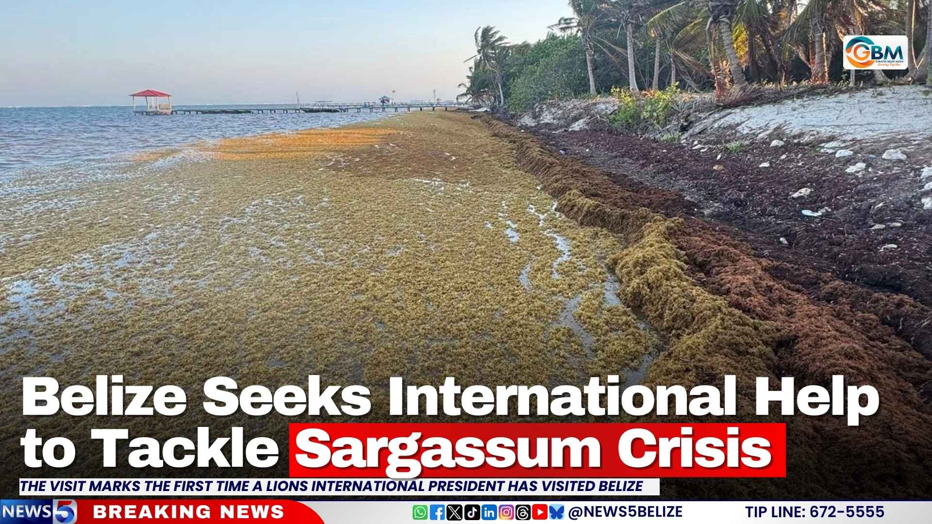 Belize Seeks International Help to Tackle Sargassum Crisis