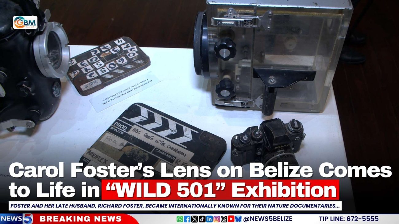 Carol Foster’s Lens on Belize Comes to Life in “WILD 501” Exhibition