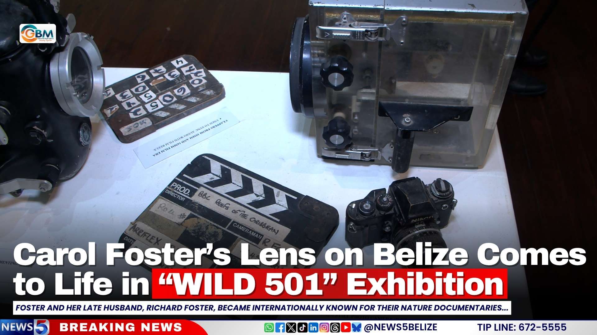 Carol Foster’s Lens on Belize Comes to Life in “WILD 501” Exhibition
