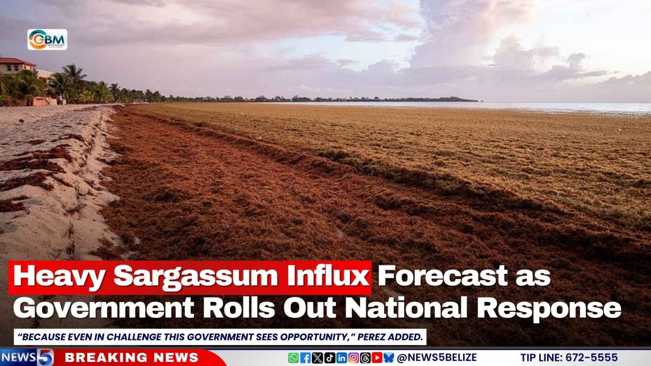 Heavy Sargassum Influx Forecast as Government Rolls Out National Response