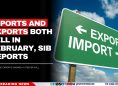 Imports and Exports Both Fell in February, SIB Reports