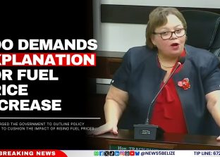 LOO Demands Explanation for Fuel Price Increase