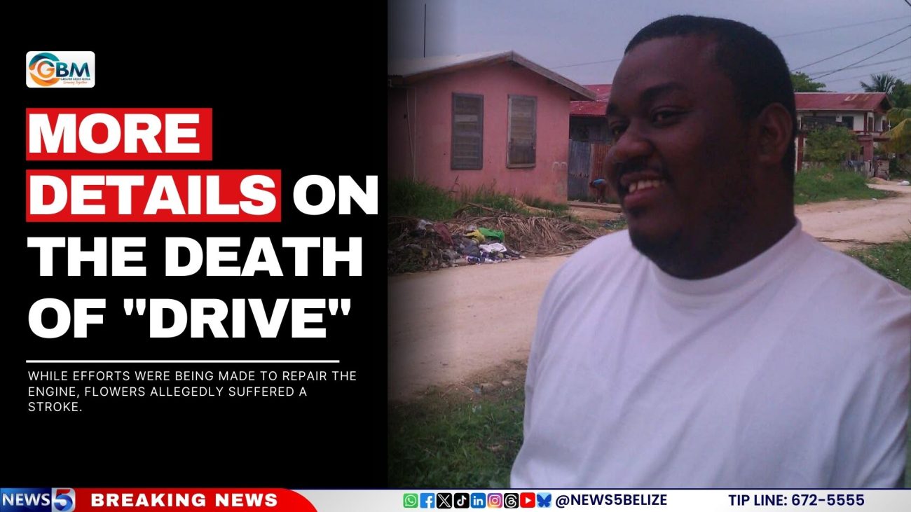 More Details on the Death of "Drive"