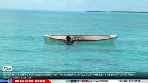 From Sea to Plate: The Story Behind Every Bite of Belize's Seafood