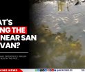 What's Killing the Fish Near San Estevan?