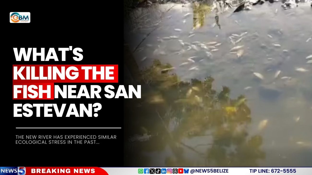 What's Killing the Fish Near San Estevan?