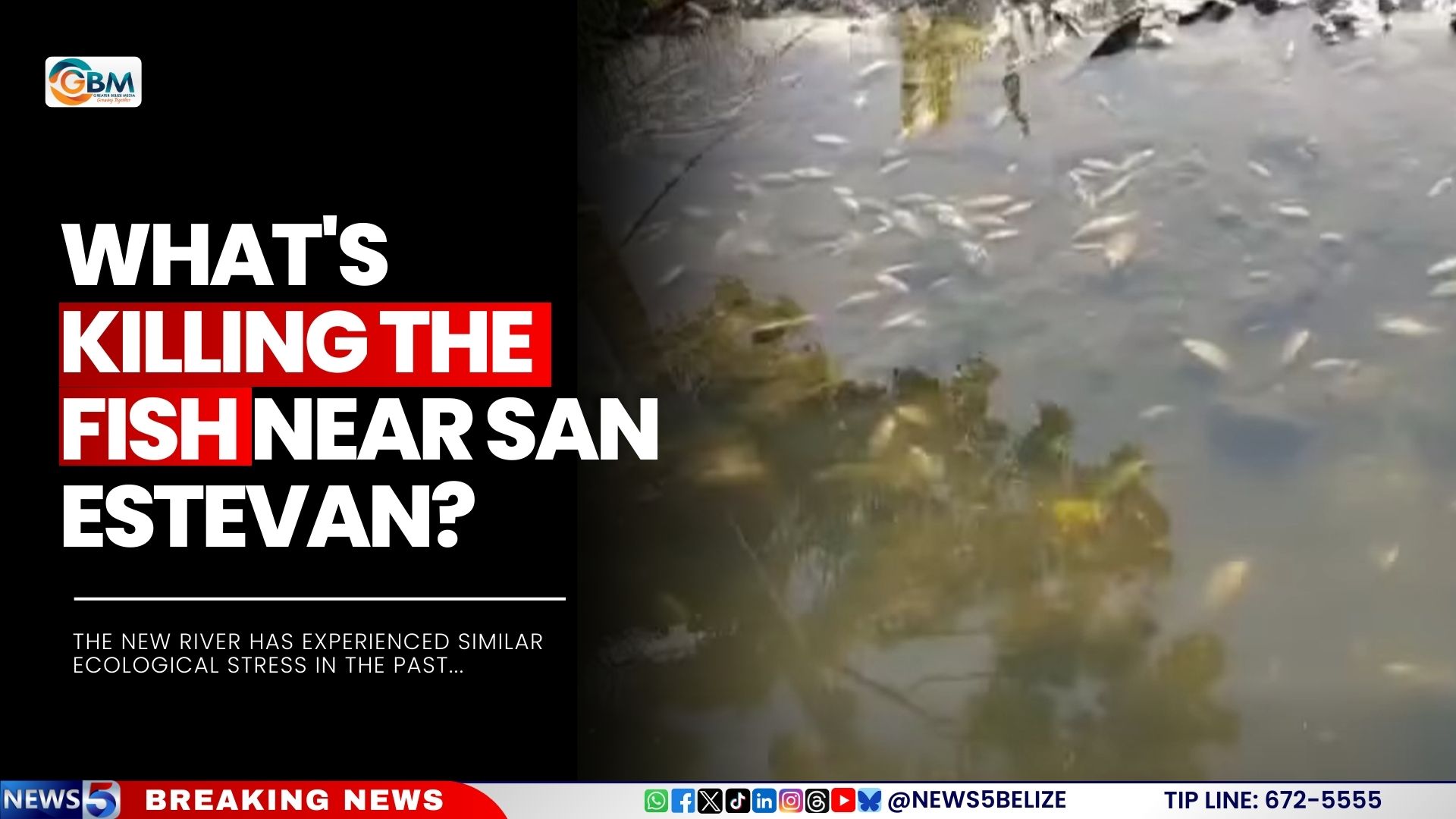 What's Killing the Fish Near San Estevan?