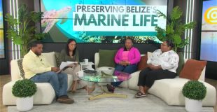 Protecting Belize’s Barrier Reef Ahead of Reef Week