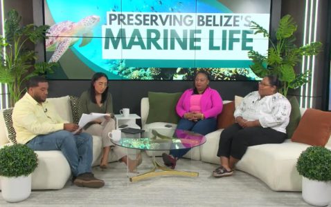 Protecting Belize’s Barrier Reef Ahead of Reef Week