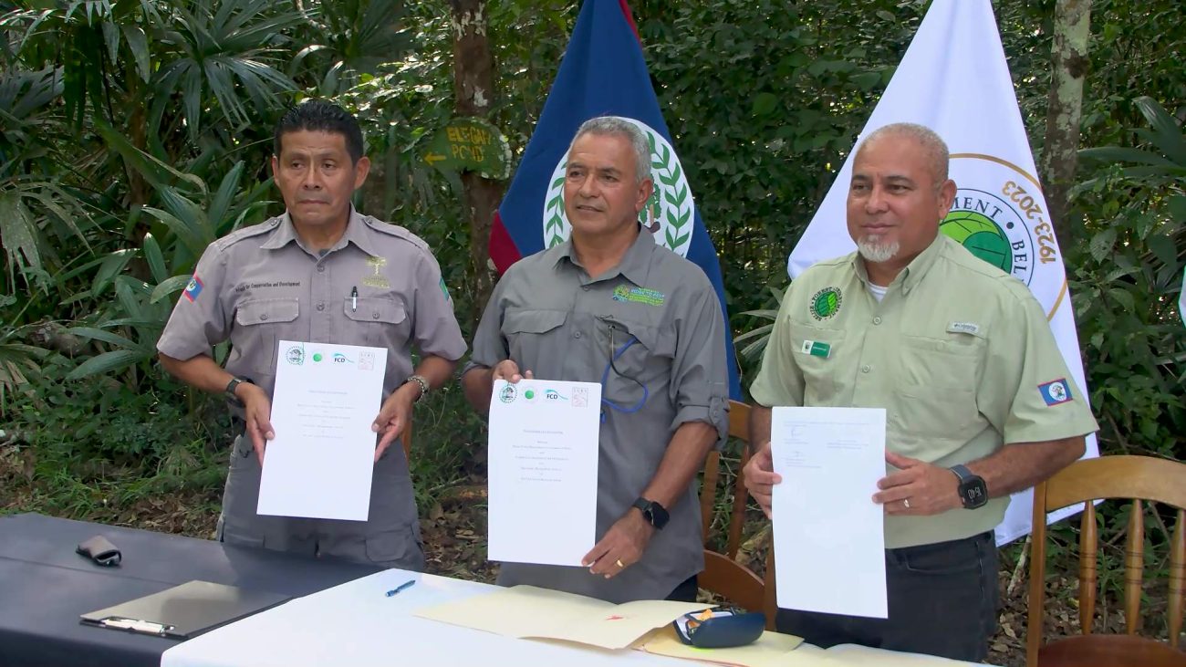 New Decade‑Long Deal Strengthens Chiquibul Research