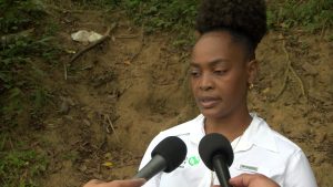 Lumen Cayetano Enriquez