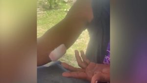 Voice of: Akeem Jones