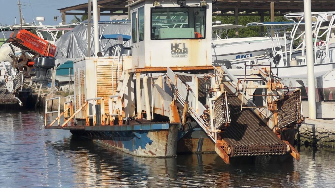 Sargassum Skimmers Deteriorating Early