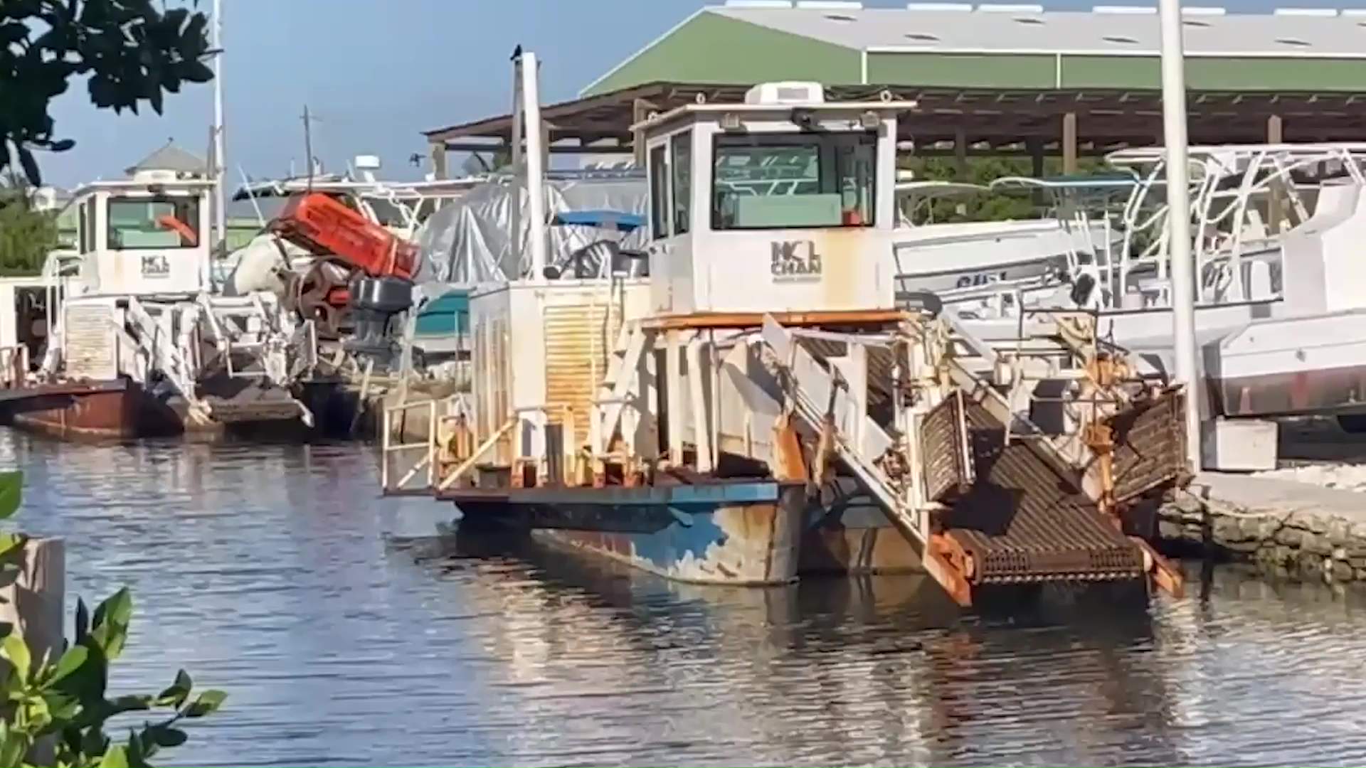 Blue Economy Minister Sets Record Straight on Skimmers