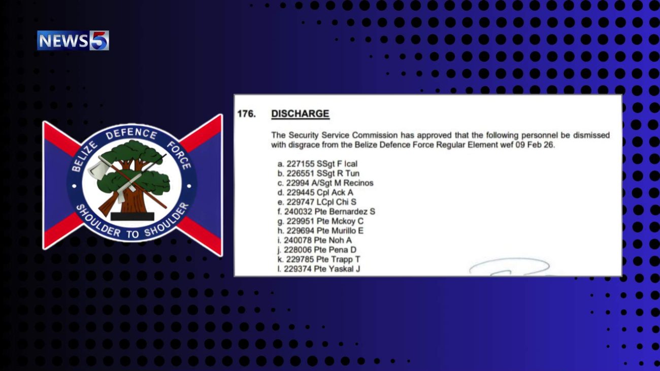 Twelve Soldiers Axed Amid BDF Disciplinary Shakeup