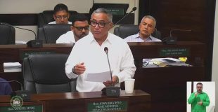 New Amendments Target Ombudsman, Contractor General