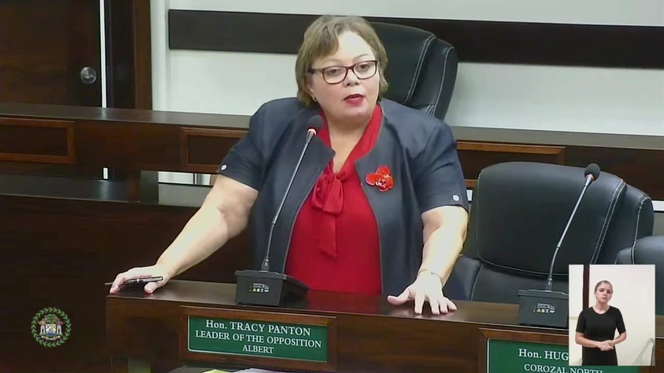 Opposition Leader: Budget Speech Doesn’t Match Belizean Reality