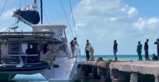 Elderly Canadian Found Dead on Drifting Catamaran