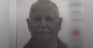 Catamaran Death Update: Harman Dead from Fall