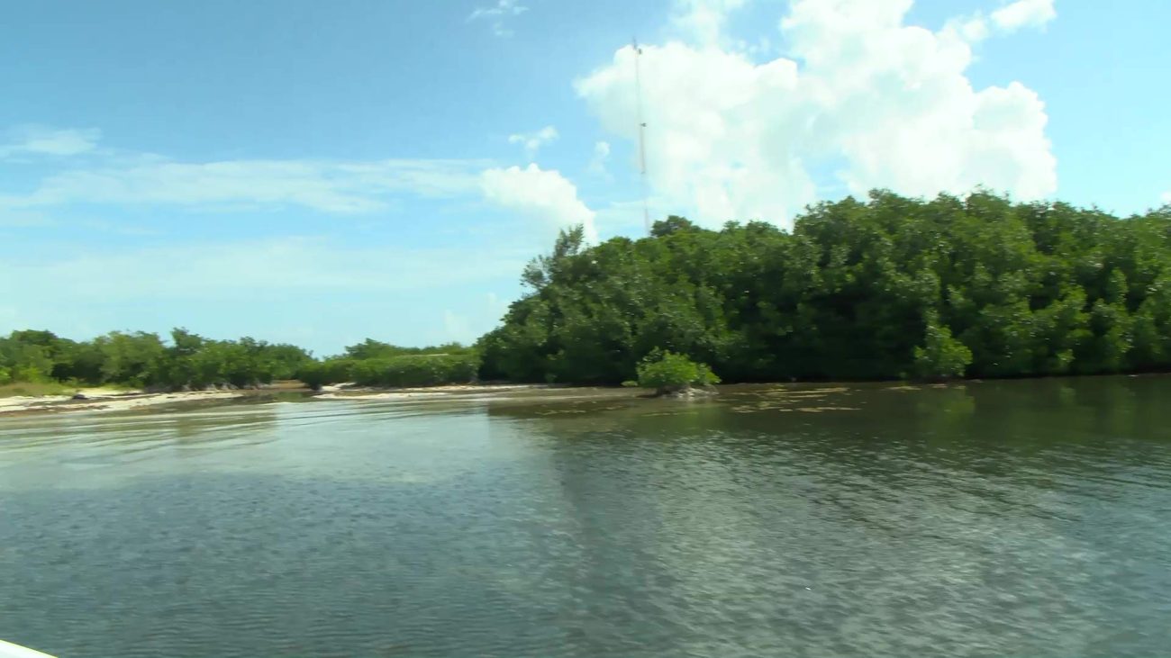 Turneffe Upgrades Aim to Protect Reef and Visitors