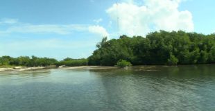 Turneffe Upgrades Aim to Protect Reef and Visitors