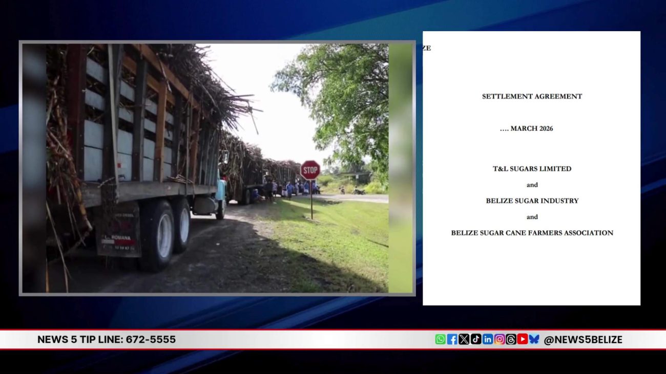 Cane Farmers Weigh Costly Compromise with T&L