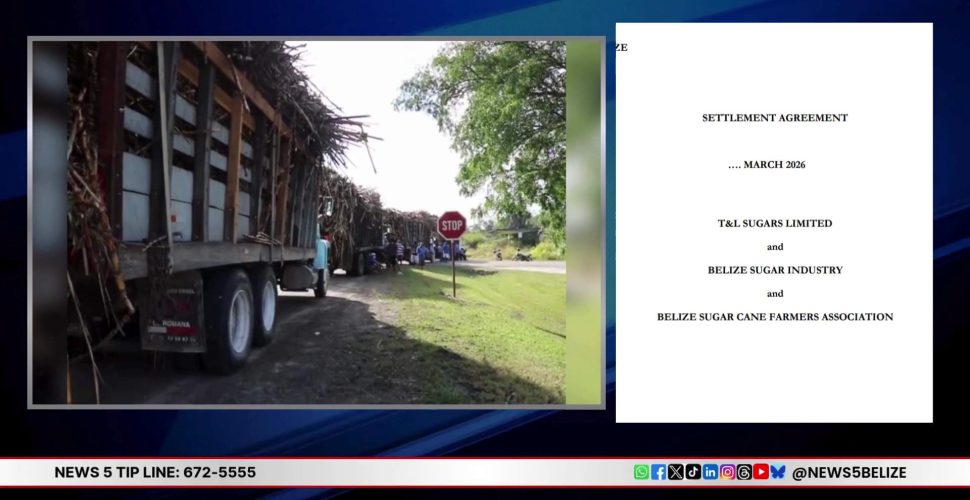 Cane Farmers Weigh Costly Compromise with T&L