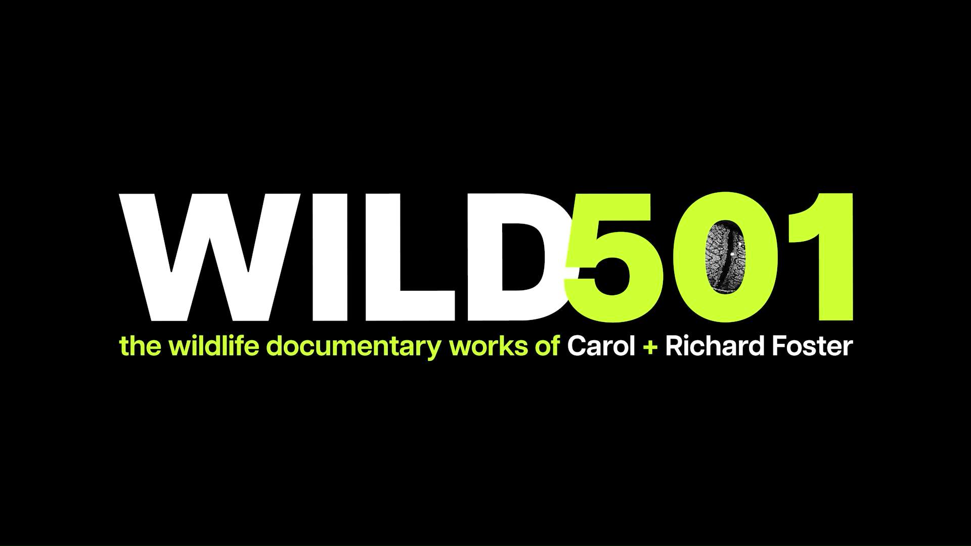 Wild 501: How Carol Foster Defined Belize’s Wild