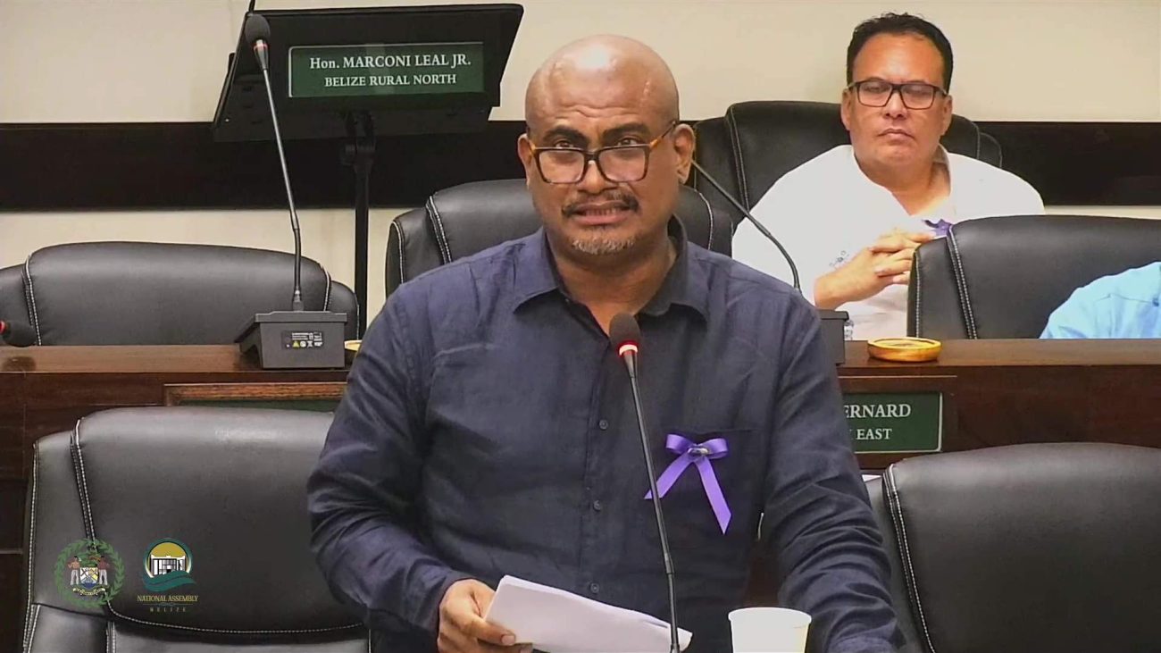 DPM Hyde Counters Opposition’s Two‑Hour Broadside