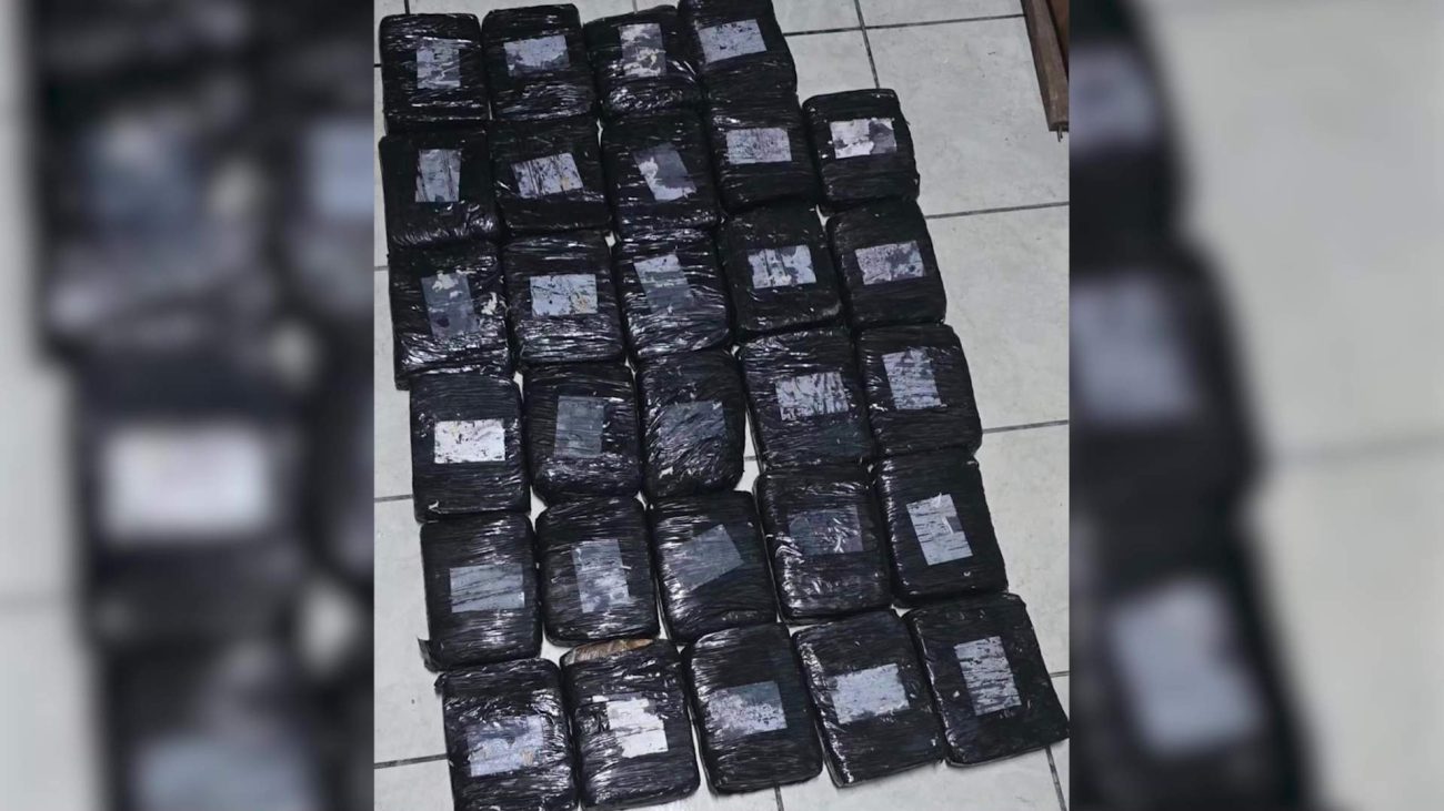 San Pedro Police Uncover Major Mangrove Drug Stash