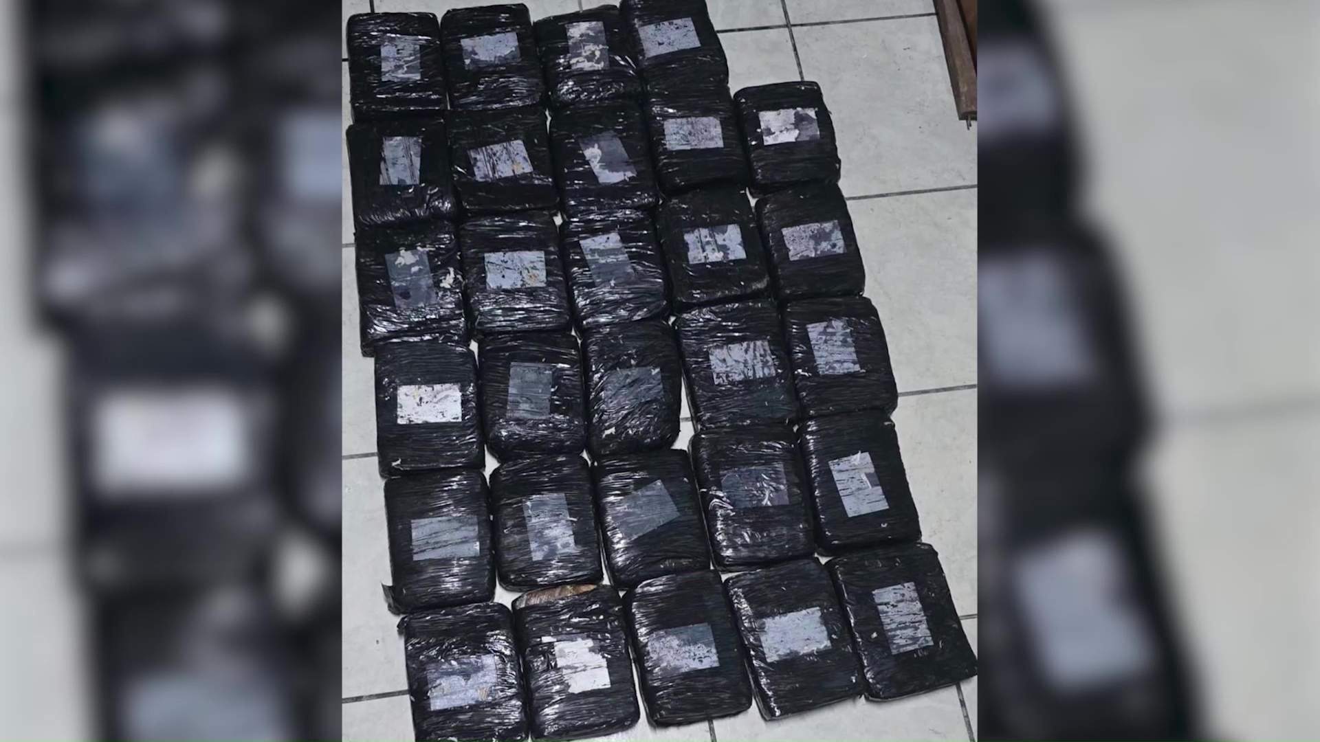 San Pedro Police Uncover Major Mangrove Drug Stash